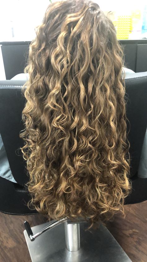 Blended Highlights Curly Hair, Long Curly Hair With Blonde Highlights, 2c Hair With Highlights, Highlights For Light Brown Curly Hair, Curl Hair With Highlights, Dark Hair With Blonde Highlights Curly, Curly Wavy Highlights, Highlights On Blonde Curly Hair, Blond Front Highlights