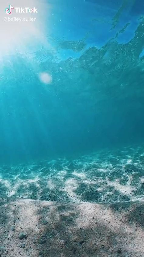 Underwater videoBliss. Underwater Wallpaper, Underwater Video, Water Aesthetic, Beautiful Ocean Pictures, Ocean Pictures, Underwater Life, Beautiful Images Nature, Beautiful Places Nature, Beautiful Ocean