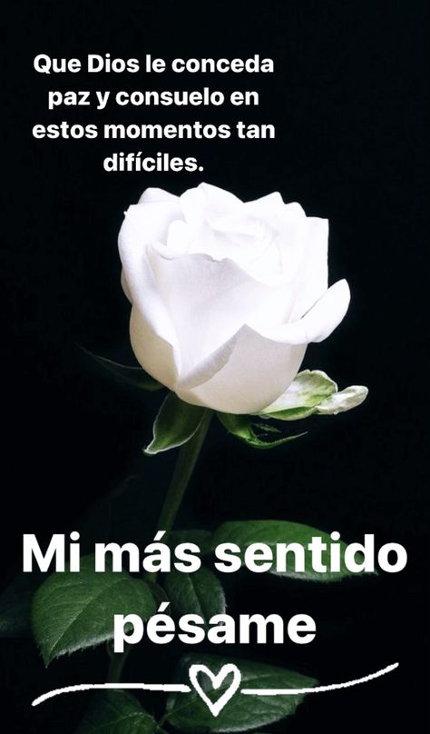 Words For Sympathy Card, Condolences Quotes, Sympathy Card Messages, Condolence Messages, Condolence Card, Catholic Quotes, Happy Easter Day, Love Phrases, Spanish Quotes