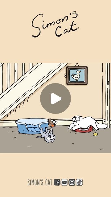 Simon's Cat on Instagram: "Cats in the middle of the night...😩" Simons Cat Video, Woke Up And Chose, Simons Cat, Middle Of The Night, January 23, Cats Meow, Cat Gif, In The Middle, The Middle