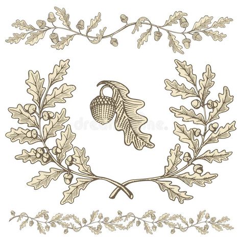 Oak wreath and dividers stock illustration Oak Leaf Tattoos, Acorn Drawing, Oak Wreath, Drawing Leaf, Clip Art Pictures, Acorn And Oak, Free Vector Illustration, Leaf Drawing, Wood Burning Patterns