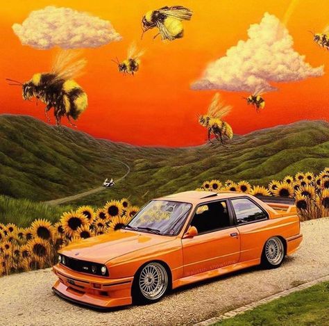 White Tumblr Aesthetic, Bmw Aesthetic, Bmw Iphone Wallpaper, Bmw White, Tyler The Creator Wallpaper, Bmw Girl, Orange Car, Cover Wallpaper, Tumblr Aesthetic