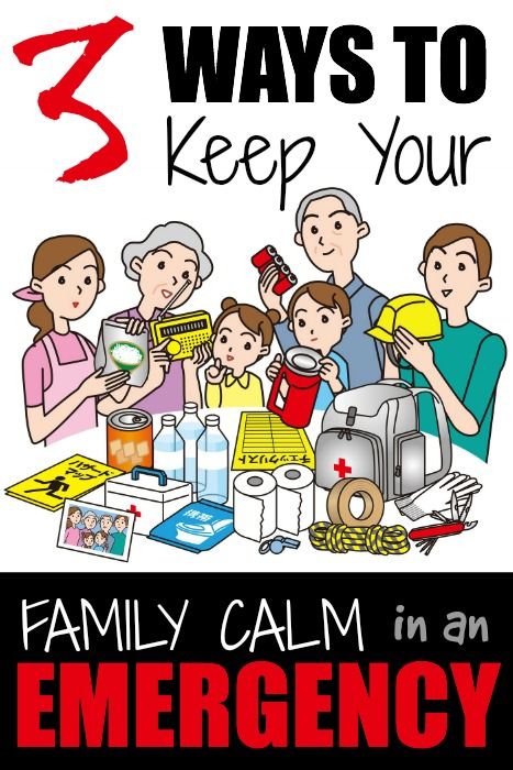 3 Ways to Keeping Your Family Calm in an Emergency | Prepared-Housewives.com | #prepbloggers #family Family Emergency Plan, Prepper Gear, Survival Ideas, Survival Stuff, Dorothy Gale, Family Emergency, Emergency Preparation, Emergency Plan, Self Reliance