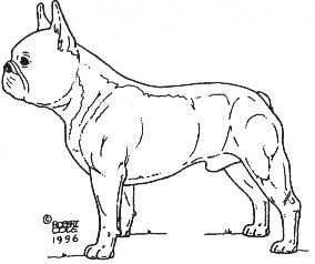 Bulldog Drawing, French Bulldog Breed, All Dog Breeds, Profile Drawing, The Judge, Side Profile, Web Magazine, Book Ideas, Loki