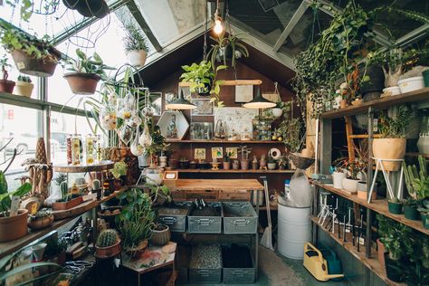 Day trip to Osaka - Haarkon in Japan. Greenhouse Interior, Urban Gardening Ideas, Modern Greenhouses, Architecture Homes, Greenhouse Shed, Greenhouse Interiors, Backyard Greenhouse, Greenhouse Plans, Plant Shop