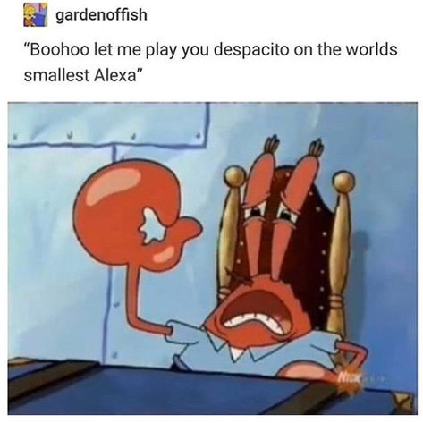 Alexa Play Despacito, Owlturd Comics, Felix Argyle, Mr Krabs, Text Memes, Sponge Bob, Spongebob Memes, Played Yourself, Know Your Meme