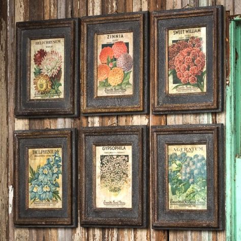 Flower Seed Packet Prints, Set of 6 - cute idea to make at home from own seed packets and rustic frames Flower Seed Packets, Garden Shed Interiors, Park Hill Collection, Flower Seeds Packets, Aged Paper, Seed Packaging, Park Hill, Seed Pack, How To Age Paper