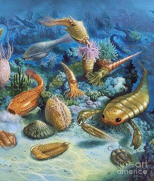 Paeleozoic Sea Ocean Underwater, Sea Life Art, Prehistoric World, Paleo Art, Fish Drawings, Underwater Life, Extinct Animals, Dinosaur Art, Prehistoric Creatures