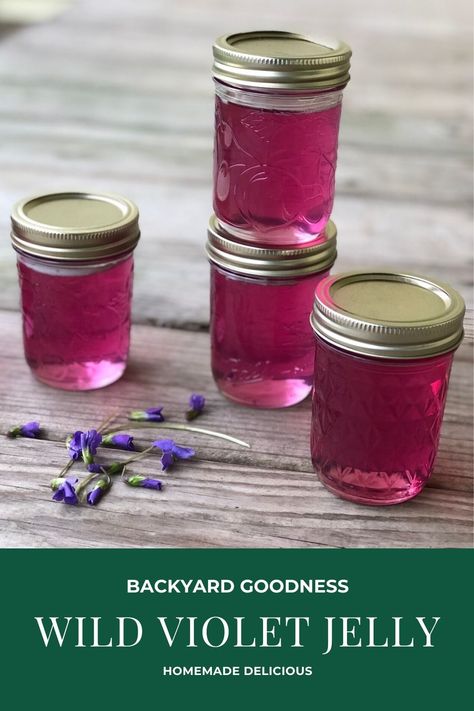 Do you have wild violets growing in your backyard?  If you do, then you need to try this sweet, light jelly that goes perfectly with a batch of homemade biscuits! #edibleflowers #wildflowers #violets #jelly Foraged Recipes, Honeysuckle Jelly, Homestead Canning, Violet Jelly, Jelly Maker, Plant Recipes, Emergency Planning, Flower Jelly, Wild Violets