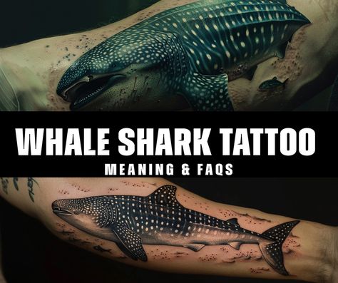 What is the significance of the whale shark tattoo in traditional culture? Whale Shark Tattoo Ribs, Humpback Whale Tail Tattoo, Whale Shark Tattoo Meaning, Whale Shark Tattoo Design, Scorpion Neck Tattoo, Shark Meaning, Shark Tattoo Meaning, Whale Tail Tattoo, Whale Shark Tattoo