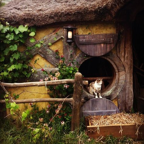 Traveling Cats: 17 Beautiful Photos of Cats All Around The World Hobbit Holes, Casa Hobbit, Green House Design, Earth Sheltered, The Hobbit Movies, Into The West, Hobbit Hole, Cob House, Hobbit House