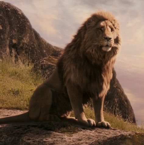 Narnia Lion, Chronicles Of Narnia Books, Narnia 3, Edmund Pevensie, Prince Caspian, Cs Lewis, Chronicles Of Narnia, Lion Of Judah, King Of Kings