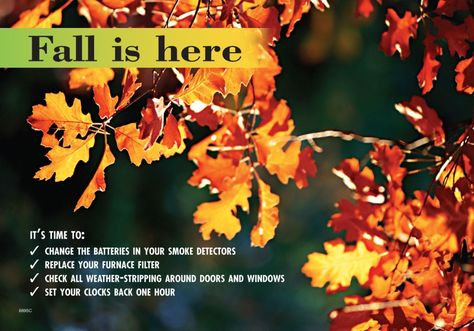 Fall Time Change Postcards : ReaMark Marketing Tools for Realtors Realtor Fall Posts, November Real Estate Marketing, Fall Real Estate Marketing Ideas, Realtor Tools, Realtor Ads, Realtor Content, Fall Real Estate, Realtor Ideas, Realtor Tips