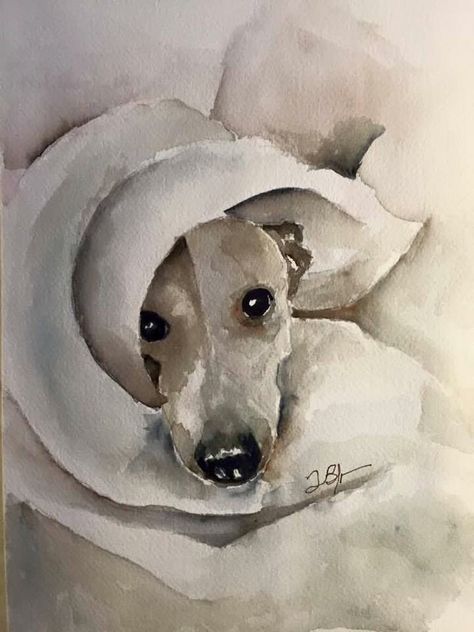 Watercolour Greyhound, Watercolor Pencil Art, Dog Portraits Art, Animal Art Projects, Greyhound Art, Art Terms, Scene Art, Watercolor Painting Techniques, Dog Canvas