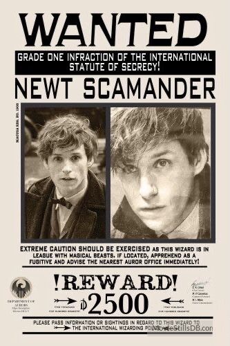 Sirius Black Poster, Fantastic Beasts Poster, Undesirable No 1, Harry Potter Newspaper, Posters Harry Potter, Imprimibles Harry Potter, Daily Prophet, Harry Potter Print, Harry Potter Classroom