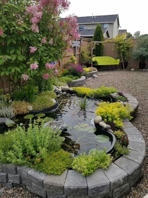 Small Fish Pond Garden, Pond Sitting Area, Raised Pond Ideas, Barrel Pond, Small Pond Ideas, Coy Pond, Pond Diy, Diy Ponds Backyard, Raised Pond