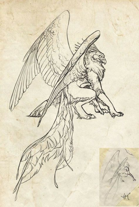 Griffon Tattoo, Griffin Drawing, Griffin Tattoo, Creature Drawings, Arte Inspo, Mythical Creatures Art, Mythological Creatures, Creature Concept Art, Animal Sketches