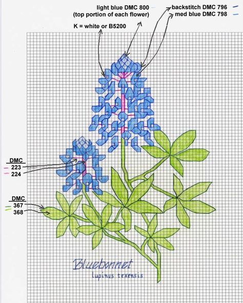 bluebonnet crosstitch Holiday Cross Stitch Patterns, Free Cross Stitch Patterns, Blue Bonnet, Cross Stitch Fonts, Easy Cross Stitch Patterns, Needlework Patterns, Simple Cross Stitch, Cross Stitch Patterns Free, Free Cross Stitch