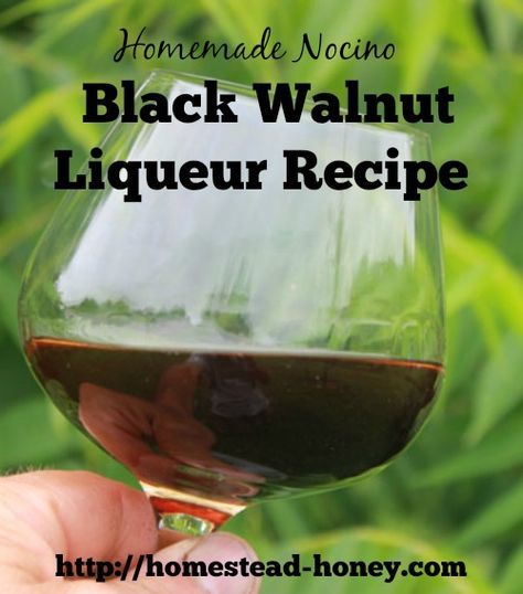 Your backyard black walnut trees can be harvested to make a delicious liqueur called nocino. Make it in May or June to enjoy during the Winter holidays! | Homestead Honey Walnut Liqueur, Homemade Alcohol, Black Walnut Tree, Homemade Liquor, Liqueurs Recipes, Foraged Food, Homemade Wine, Hard Cider, Wild Edibles