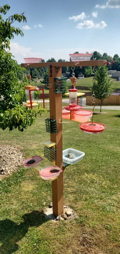 Fruit Bird Feeder Diy, Bird Feeder On Fence, Wildlife Feeding Station, Hummingbird Feeder Hanging Ideas, Hummingbird Station, Bird Feeder Post Ideas, Bird Feeding Station Ideas Gardens, Bird Feeding Station Ideas Diy, Bird Area In Backyard