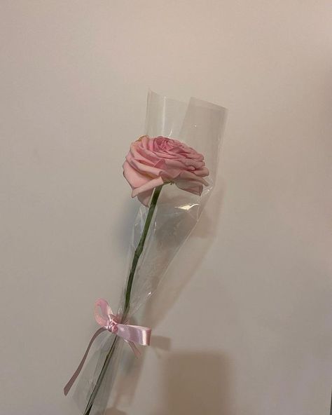 Single Pink Rose, Flower Arragement, Rosé Gif, Flower Bouquet Diy, Flower Gift Ideas, Crochet Bouquet, Rosé Aesthetic, Gift Box Design, Flowers Bouquet Gift