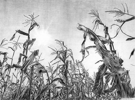 art Corn Field Drawing, Field Drawing, Colorful Art Projects, Corn Field, Colors Art, Art Instructions, A Drawing, Art Project, Beijing