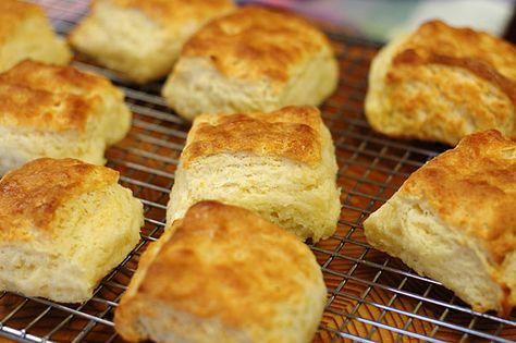 Best Fluffy, Flakey, Buttery Biscuits Ever Beer Biscuits, Flakey Biscuits, Southern Biscuits Recipe, Easy Biscuits, Southern Biscuits, Flaky Biscuits, Making Bread, Cheese Biscuits, Buttery Biscuits