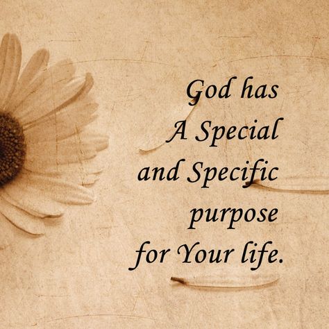 God has a special and specific purpose for your life. Divine Intuition, Spiritual Notes, Fire Angel, Peace Scripture, Jesus Artwork, Amazing Inspirational Quotes, Bible Quotes Images, Quotes Bible, Christian Messages