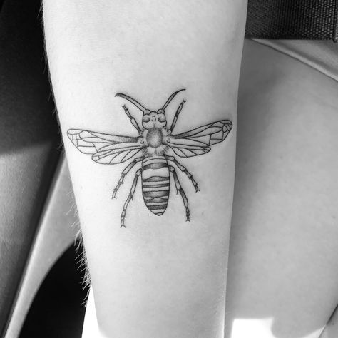 #tattoos #hornet #insecttattoo #bwphoto #bugtattoo Japanese Hornet, Hornet Tattoo, Wasp Tattoo, Bug Tattoo, Insect Tattoo, Leo Tattoos, Sternum Tattoo, Face Tattoos, Book Tattoo