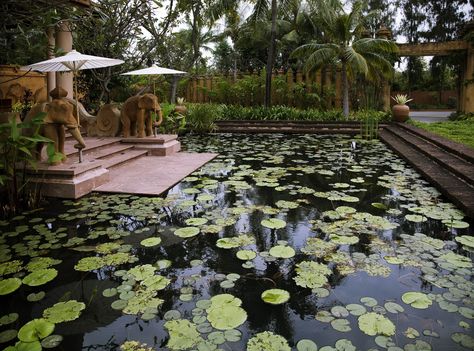 Beautiful Thai style garden landscaping. Lotus pond and elephants at Anantara Hua hin, Thailand. Bali Style Home, Lotus Garden, Bog Garden, Bali House, Thailand Holiday, Travel Thailand, Lotus Pond, Sims Building, Fish Pond