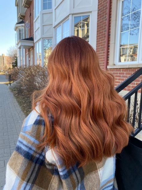 Level 8 Red Hair Color, Going From Blonde To Red Hair, Ginger Hair Lowlights, Redhead Hair Color Ideas, Muted Ginger Hair, Dimensional Red Hair Copper, Honey Ginger Hair Color, Copper Ginger Hair, Natural Ginger Hair