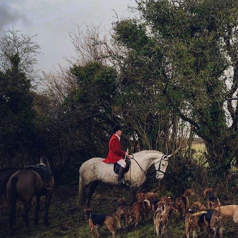 Horse Hunting Aesthetic, Foxhunting Aesthetic, Fox Hunting Aesthetic, Hunt Aesthetic, Horse Hunting, Hunting Aesthetic, Aesthetic Horses, Gallery Wall Art Prints, Fox Hunt