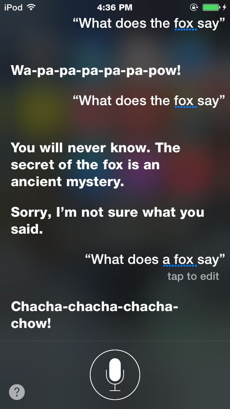 ~things to ask Siri Say This To Siri, Things To Never Ask Siri Scary, Never Ask Siri, What To Ask Siri, Ask Siri, Things To Ask, Things To Ask Siri, Sleepover Ideas, Indianapolis 500