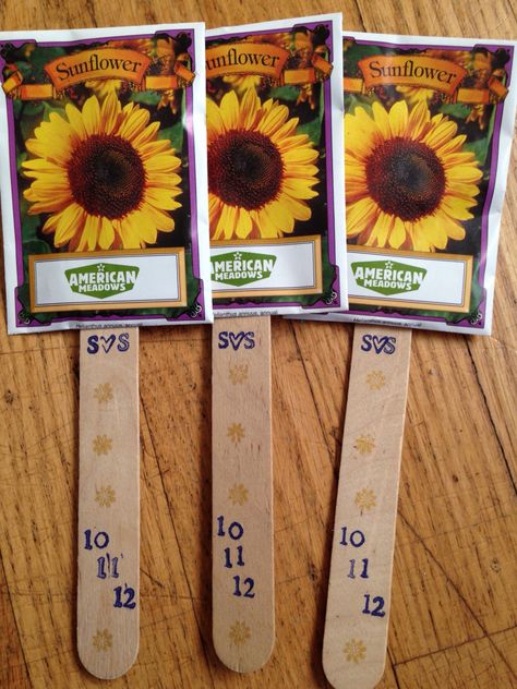 Wedding favors for sunflower wedding. American Meadows, Sunflower Wedding, Wedding Favours, Wedding Favors, Sunflower, Book Cover, Art