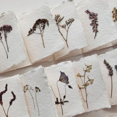 Vintage Flowers on Instagram: "Twenty handmade paper & pressed flower postcards are coming to @sisalla.nl in a few days! #cards #papercards #handmadepaper #nature ##paperaddict #paperaddicts #naturpapier #natuurpapier #pressedflower #pressingflowers #floralcards #herbarium #herbier" Handmade Paper Aesthetic, Watercolor Dried Flowers, Pressed Flower Aesthetic, Pressed Flower Journal, Dried Flower Cards, Pressed Flower Cards, Milk Carton Crafts, Outdoor Gallery, Flower Stationary