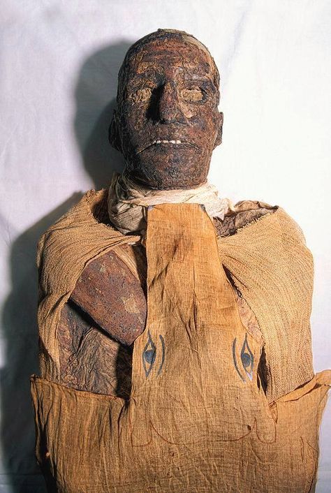 Ramses Iii, Cairo University, Cairo Museum, Mummified Body, Egypt Mummy, Egypt Museum, Luxor Temple, Egyptian Mummies, Egyptian Artifacts