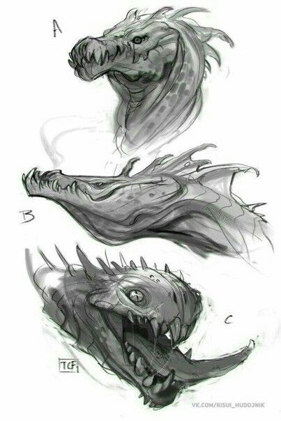 Reptile Drawing Reference, Wyvern Drawings, Dragon Sketches, Dragon Anatomy, Creature Fantasy, Dragon Sketch, Creature Drawings, Monster Concept Art, Fantasy Creatures Art