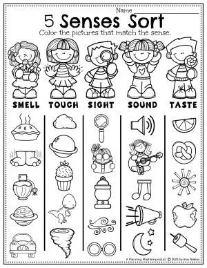 5 Senses Craft, 5 Senses Preschool, 5 Senses Worksheet, Five Senses Worksheet, Five Senses Preschool, Rhyming Preschool, 5 Senses Activities, Me Preschool Theme, Color Worksheets For Preschool