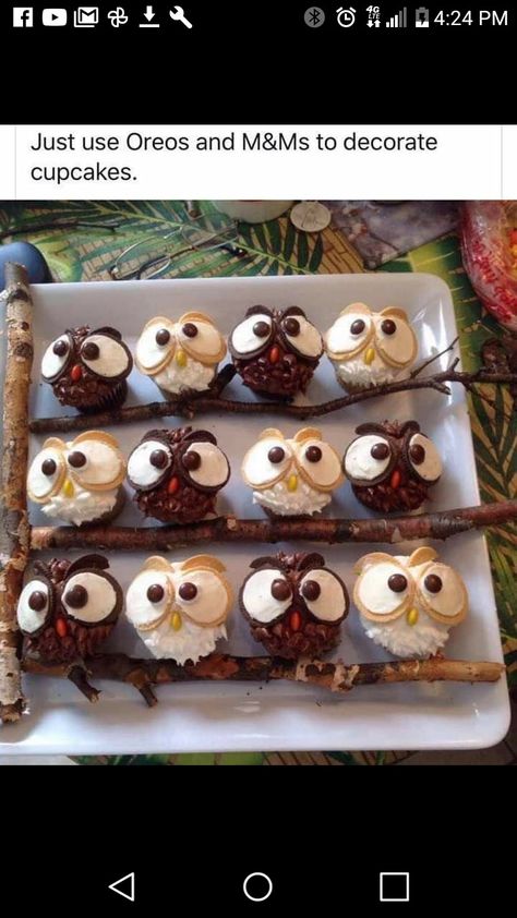 Owl Food, Owl Cupcakes, Grandma Cooking, Owl Cake, Animal Cupcakes, Owl Birthday, Owl Party, Owl Baby Shower, Baking With Kids