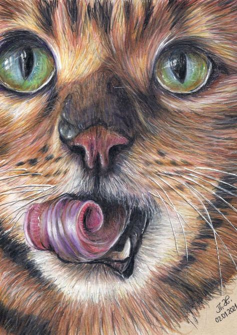 Cat Coloured Pencil Drawing, Color Pencil Animals, Color Pencil Art For Beginners, Pencil Art For Beginners, Colored Pencil Art Projects, Color Theory Art, Color Pencil Illustration, Pencil Drawings Of Animals, Prismacolor Art