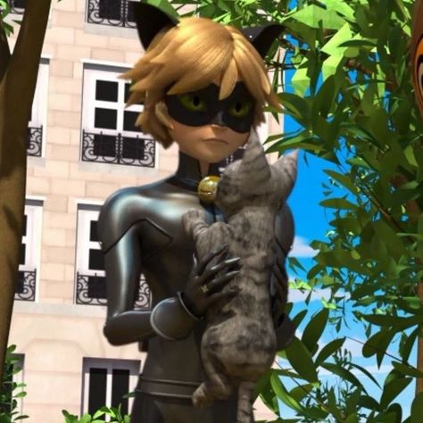 Cat Noir Adrien, Aesthetic Miraculous, Ladybug E Catnoir, Drawing Animation, Marinette Et Adrien, Ladybug And Cat Noir, Ladybug Wallpaper, Me Against The World, Miraculous Characters