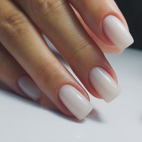 Perfect GEL Manicure by our team 💅 2 hours and you have mani for 1 month! We have 14 days guarantee for manicure service! DM to book your appointment 📅 Manicure Service, Cleaning Nails, Russian Manicure, Nail Lab, Team 2, Book Your Appointment, Manicure Pedicure, Gel Manicure, 1 Month