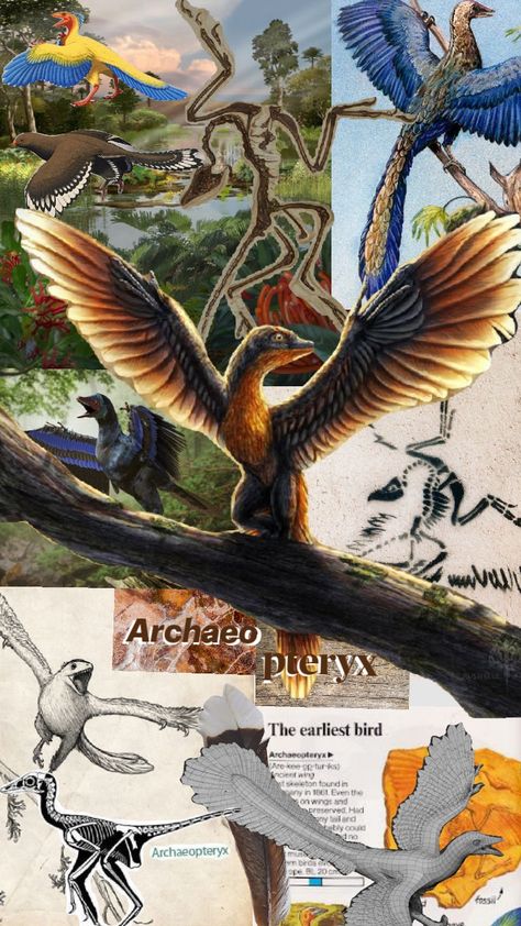 Archaeopteryx, the first known bird Feathered Raptor, Bad Art, Prehistoric Creatures, Prehistoric Animals, The First, Drawings, Animals, Pins, Art