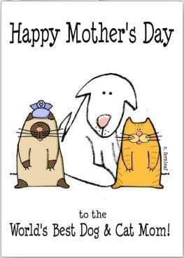 Pin by Debbie Menning on Love My Fur Babies | Cat mom, Dog mothers day, Pet mom Dog Mothers Day, Birthday Wishes Flowers, Greeting Card Art, Foster Kittens, Pet Mom, Mother's Day Cards, Mom Cards, Cute Funny Dogs, Mother's Day Card