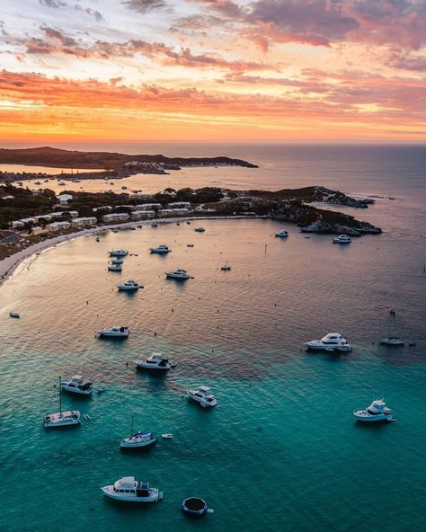 📍 Rottnest, WA 📷 @ospreycreative #westisbest #rottnest #rottnestisland #quokka #soperth #perthnow #needabreak #justanotherdayinwa #seeperth #perthlife #westernaustralia #australia #tourismwa #perthisokay #visitwa #thisiswa #takemetoaustralia #travelaustralia #urbanlistperth #perthsbest #rotto #quokkas #quokkahub #helloperth #westisbest Sorrento Australia, Sorrento Beach, Beach Instagram, Sorrento, Australia Travel, Nature Scenes, Western Australia, Joinery, Beautiful Nature