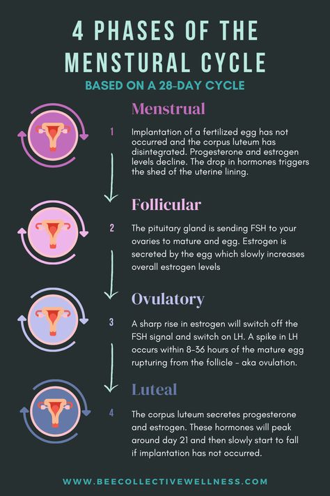 Hormones are confusing. They rise and fall throughout the cycle, triggering the next phase of the cycle. Harness the energy of your hormone by learning about the menstraul cycle phases now. | READ MORE Menstrual Cycle Phases Nursing, Female Cycle Phases, Period Cycle Phases, Phases Of Menstrual Cycle, Menstrual Phases, Menstrual Cycle Chart, Cycle Synching, Female Cycle, Women Growth