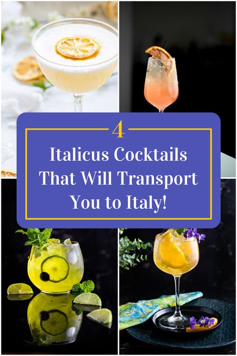 Collage of 4 italicus cocktails. Best Drink Recipes, Best Drink, Summer Cocktail, Summer Cocktails, Host A Party, Mixology, Refreshing Drinks, Summer Drinks, Fun Drinks