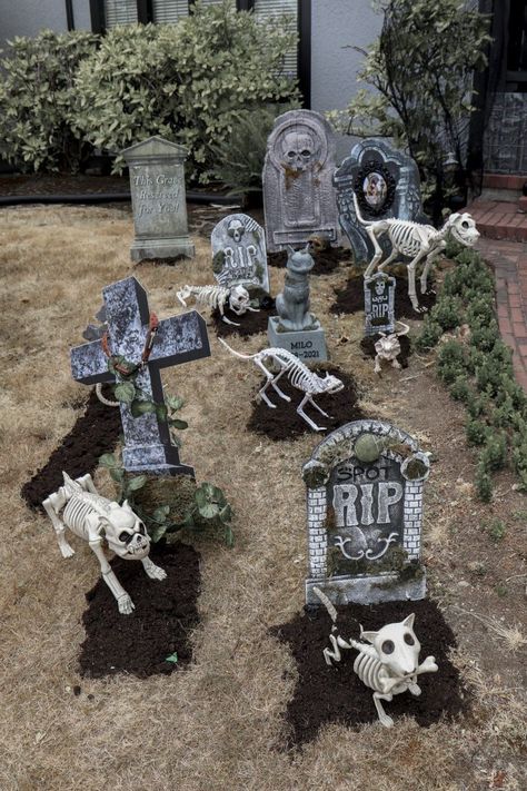 Pet Cemetery Ideas Halloween, Pet Cemetary, Yard Decoration Ideas, Cemetery Halloween, Halloween Cemetery, Halloween Outside, Pet Cemetery, Halloween Graveyard, Halloween Idea