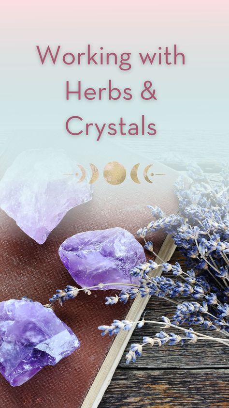 Working with herbs & crystals is an incredible way to make some magic, find balance, and support your spiritual work. Wicca Cleansing, Herb Pairings, Crystal Magick, Crystals And Herbs, Small Glass Containers, Calendula Salve, Wish Spell, Heather Flower, Spell Bottles