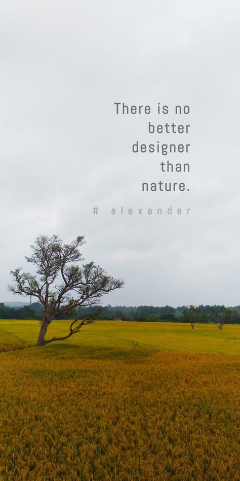 Nature Philosophy Quotes, Nature Healing Quotes Inspirational, Nature Person Quotes, Quotes On Trees Nature, Quotes About Forest Nature, Nature Bliss Quotes, Qoutes About Nature Lover, Quotes On View Of Nature, What'sapp About Captions